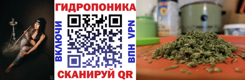 Какие есть наркотики Благодарный Cocaine  Конопля  APVP  Гашиш  МЕГА как войти  Мефедрон 