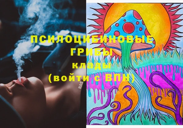 дживик Баксан