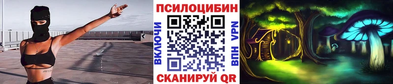 купить наркоту  Благодарный  MEGA как зайти  Псилоцибиновые грибы ЛСД 